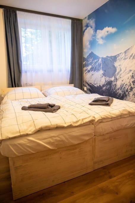 Apartament Leszczynska 29 Bielsko-Biała Exteriör bild