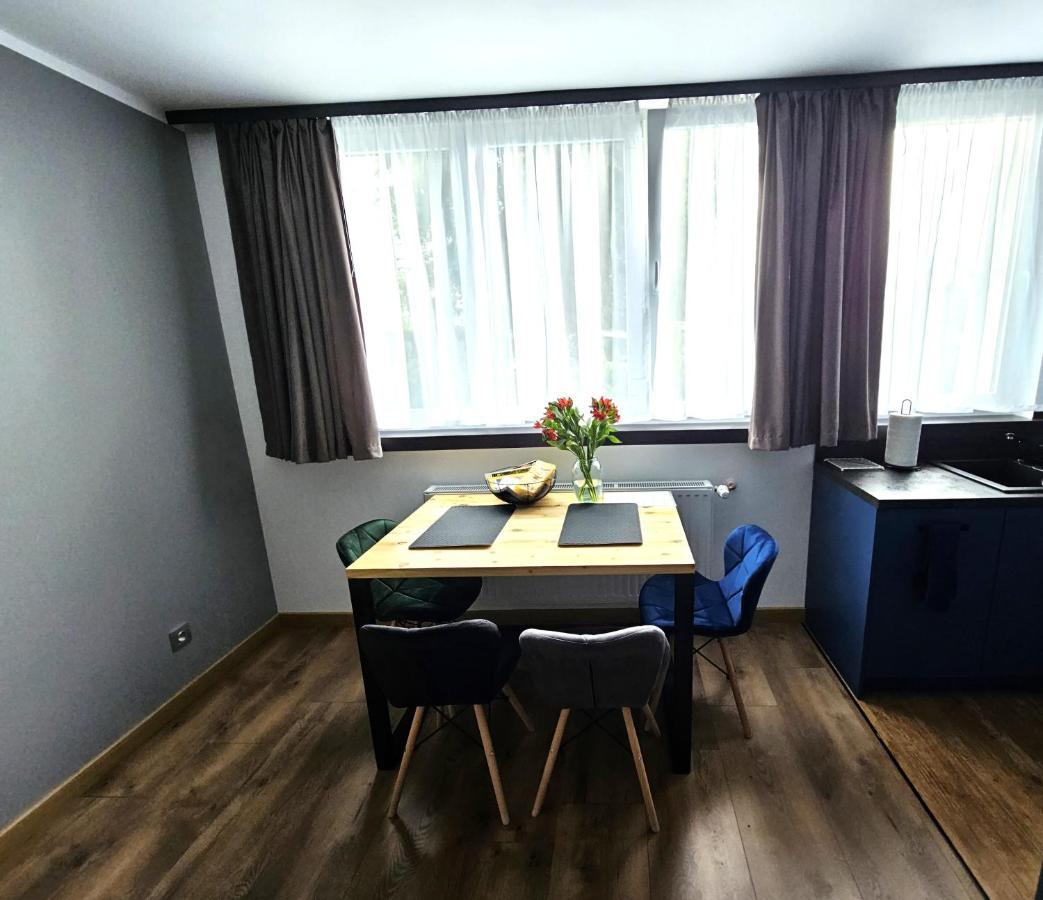 Apartament Leszczynska 29 Bielsko-Biała Exteriör bild