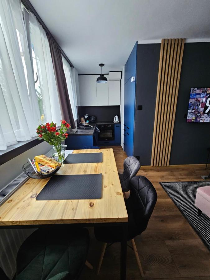 Apartament Leszczynska 29 Bielsko-Biała Exteriör bild